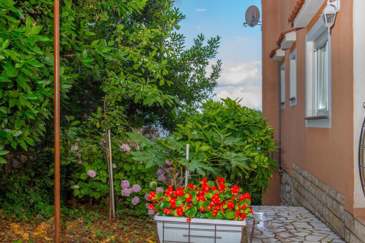 Apartments Zorica ดรามัลย์ ภายนอก รูปภาพ